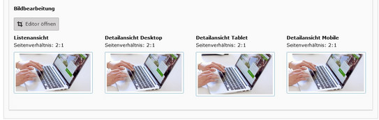 Screenshot des TYPO3-Backends zeigt automatisch gesetzte Bildausschnitte nach Anwendungsfällen.