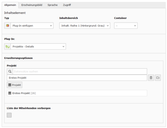 Eingabemaske Projekte Details Screenshot einer Eingabemaske für das Plugin "Projekte - Details"