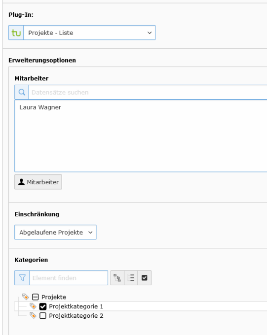Plugin mit Beschränkungen für die Ansicht Screenshot einer Plugin-Eingabemaske mit Beschränkungen