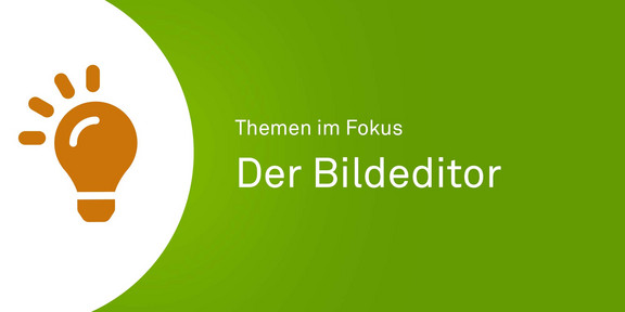 Orangenes Icon einer Glühbirne neben einer grünen Fläche mit weißem Text "Themen im Fokus - Der Bildeditor".