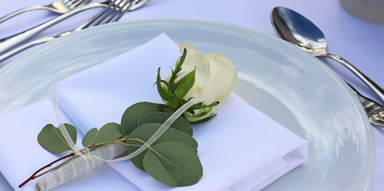 Gedeckte Tafel - Nahaufnahme von Teller mit Serviette, Silberbesteck und Rose.