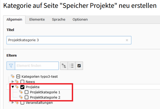 Eingabemaske Kategorie Screenshot der Eingabemaske für eine Kategorie