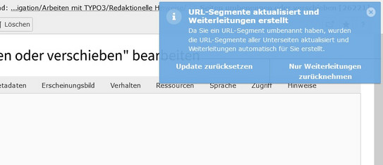 Blaues Bestätigungsfenster Screenshot des TYPO3-Backends zeigt blaues Bestätigungsfenster