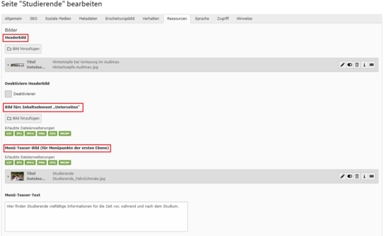Screenshot der Bezeichnungen für den Reiter Ressourcen