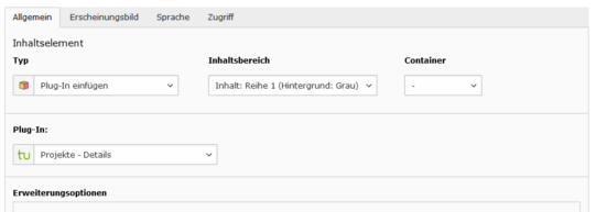 Plugin Projekte Details Screenshot der Eingabemaske für das Plugin "Projekte - Details"