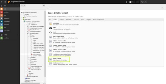 Bildergalerie Screenshot einer Seite im TYPO3-Backend