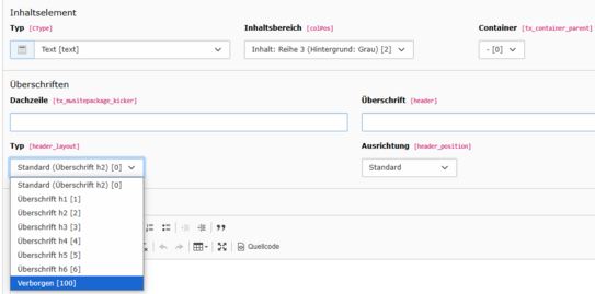 Screenshot der Einstellmöglichkkeiten im Backend für Überschriften, die auf der Webseite nicht sichtbar sind.