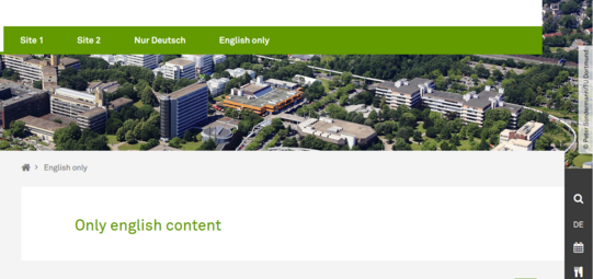 Fallbacktype Fallback - Nur Englisch - Englisch