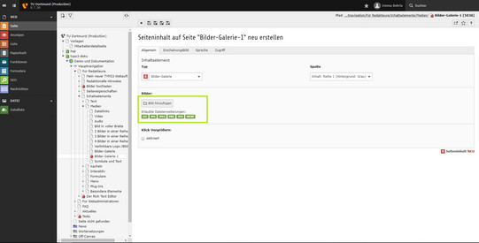 Bildergalerie Screenshot einer Seite im TYPO3-Backend