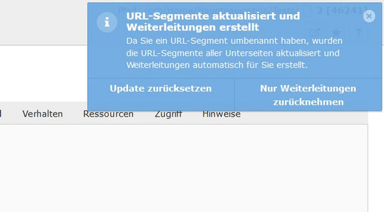 Screenshot des TYPO3 Backends zeigt blaues Popup-Fenster bei Slug-Update