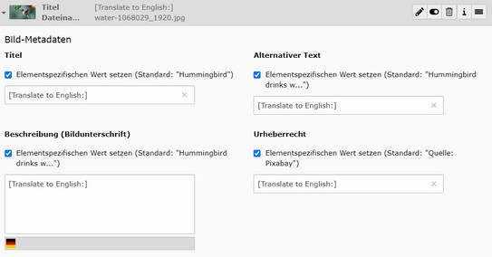 Bekannte Fehler - fehlerhafte Übersetzung der Meta-Daten von Bildelementen Screenshot des TYPO3 Backends - zeigt fehlerhafte Übersetzung der Meta-Daten von Bildelementen