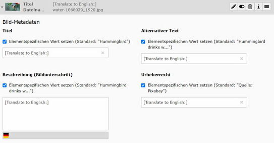 Screenshot des TYPO3 Backends - zeigt fehlerhafte Übersetzung der Meta-Daten von Bildelementen