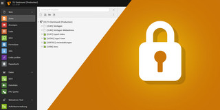 Sperrung TYPO3-Backend Screenshot des TYPO3-Backends mit Seitenbaum, überlagert von einem geschlossenen Vorhängeschloss-Symbol als Zeichen für die Sperrung.