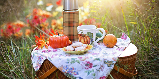 Picnic basket on the meadow.