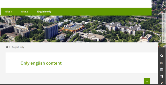 Fallbacktype Free - English only - Englisch