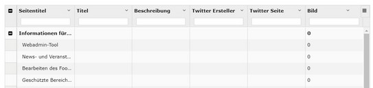 Screenshot des TYPO3 Backends zeigt Ansicht der Kategorie Twitter Cards des SEO-Moduls