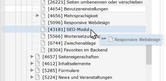 Seite verschieben - auf bestehende Seite Screenshot des TYPO3-Backends zeigt verschieben von Seite auf eine bestehende Seite