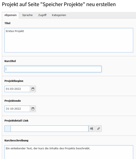 Eingabemaske Projekt Screenshot einer Eingabemaske für ein Projekt