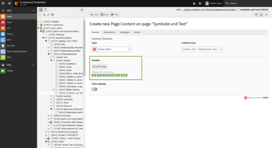 Screenshot of a page in the TYPO3 backend