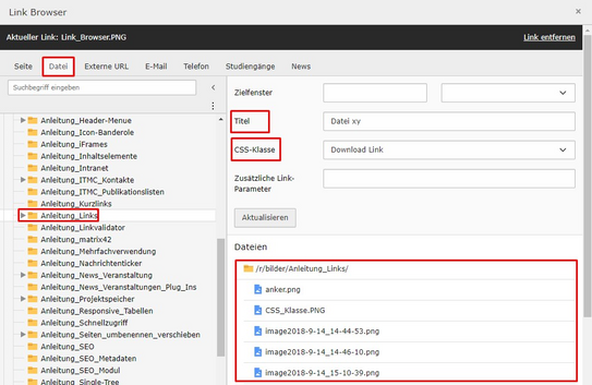 Screenshot of the TYPO3 backend showing the setting of a link to a file.