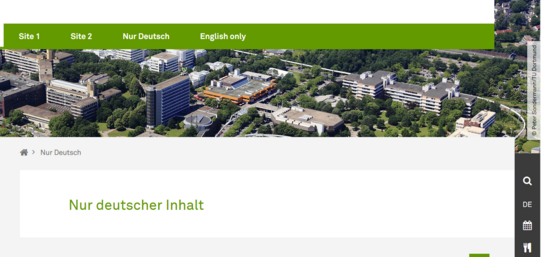 Fallbacktype Fallback - Nur Deutsch - Englisch