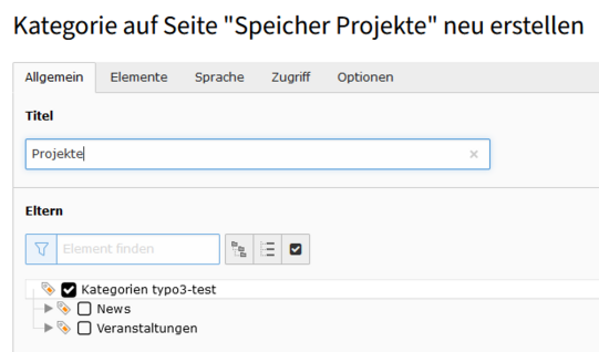 Anlegen der Hauptkategorie Screenshot einer Eingabemaske für Projekt-Hauptkategorie