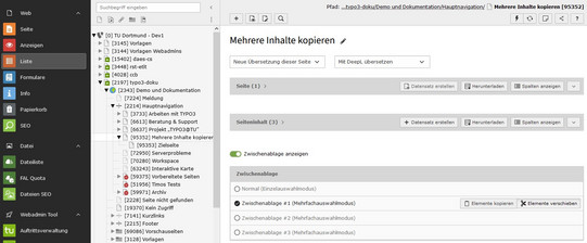 Listenansicht Screenshot des TYPO3 Backends zeigt eine Seite in der Listenansicht.