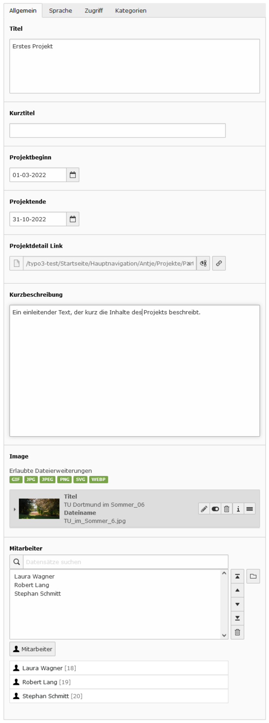 Eingabemaske Projekte Screenshot der Eingabemaske für ein Projekt