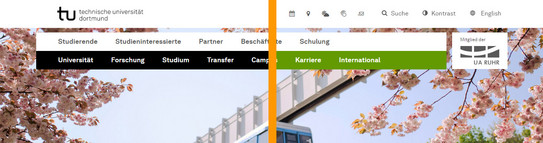 Screenshot des Frontends zeigt Vergleich zwischen aktivem und deaktivem Kontrastumschalter.