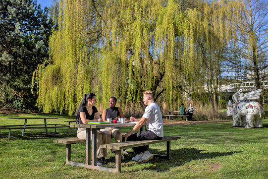 Drei Studierende sitzen an einem Picknicktisch auf einer sonnigen Grünfläche vor einer großen Trauerweide.