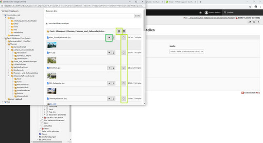 Bildergalerie Screenshot einer Seite im TYPO3-Backend