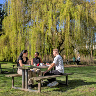 Drei Studierende sitzen an einem Sommertag an einer Sitzbank mit Tisch auf einer Wiese und unterhalten sich gut gelaunt.