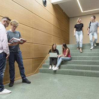 Zwei Studierende laufen eine Treppe herunter, zwei sitzen auf der Treppe und zwei stehen davor.