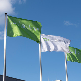 Grüne und weiße Flaggen mit der Inschrift „TU 50 Jahre“ vor blauem Himmel