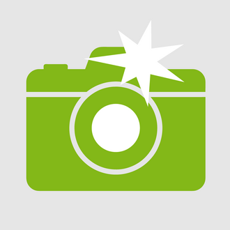 Icon: Photo camera that is currently triggering
